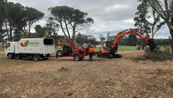 Urbans arboriculture team