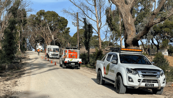 Bushfire recovery