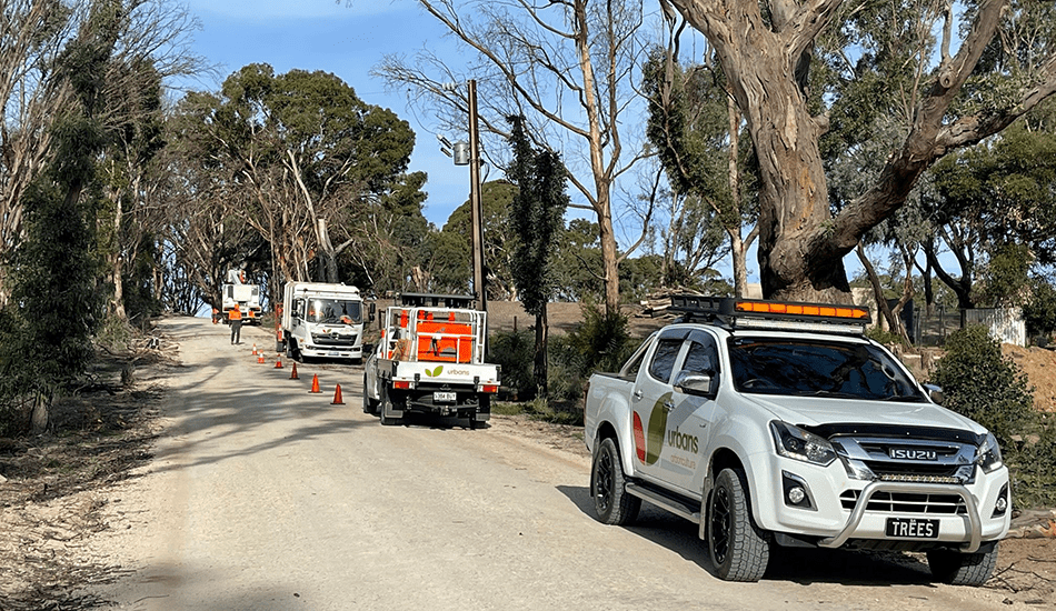 Bushfire recovery