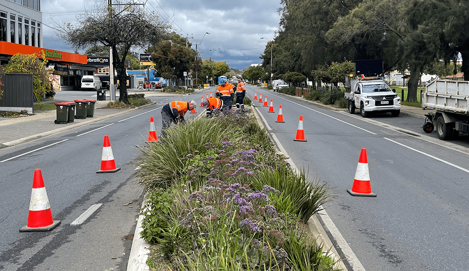 City of Prospect work