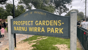 City of Prospect playground