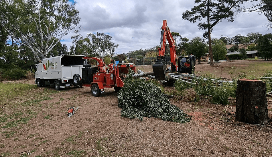 Arb works for sporting facility upgrades within Barossa Council - Urbans