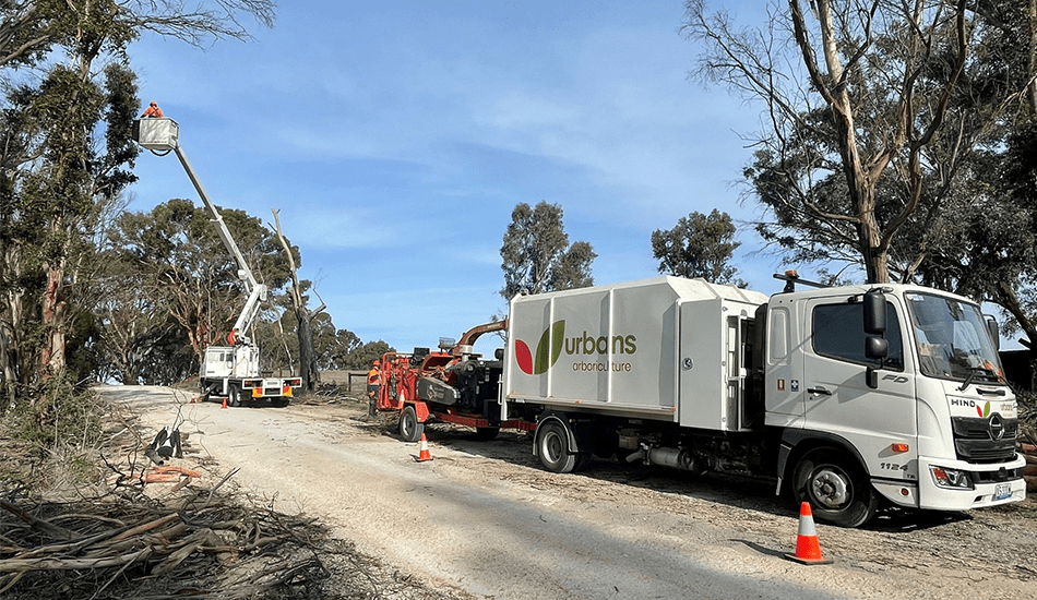 Bushfire arboriculture works in the Adelaide Hills - Urbans
